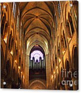 Notre Dame Ceiling Acrylic Print