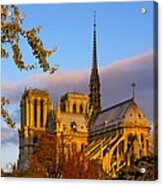 Notre Dame Sunrise Acrylic Print