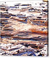 Old Weathered Log On The Sea Shore Acrylic Print