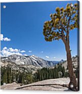 Olmsted Point Yosemite Acrylic Print