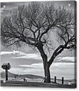 On The Road To Taos Acrylic Print