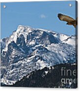 On The Wing Acrylic Print