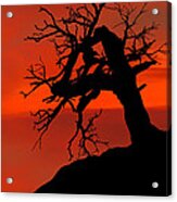 One Tree Hill Silhouette Acrylic Print