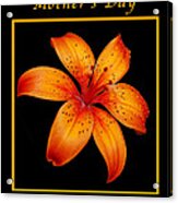 Orange Lily Mothers Day Card Acrylic Print