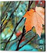 Orange You Gonna Fall Acrylic Print