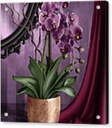 Orchid I Acrylic Print