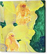 Orchid Yellow Acrylic Print