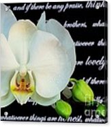 Orchids And Scripture Acrylic Print