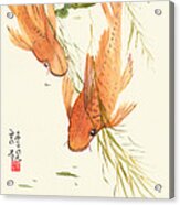 Oriental Koi Ii Acrylic Print