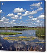 Orlando Wetlands Park Cloudscape 4 Acrylic Print
