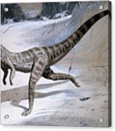 Ornithosuchus Prehistoric Reptile Acrylic Print