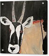 Oryx Acrylic Print