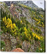 Ouray Canyon Fall Color Acrylic Print