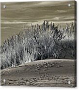 Outer Banks - Hatteras Lighthouse And Sand Dunes In Bw Acrylic Print