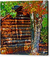 Outhouse Ajsp Acrylic Print