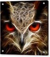 Owl - Fractal Artwork Acrylic Print