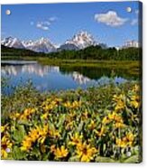 Oxbow Bend Splendor Acrylic Print