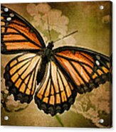 Painted Monarch Butterfly Acrylic Print