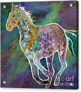 Painted Pony Acrylic Print