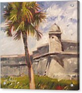 Palm At St. Augustine Castillo Fort Acrylic Print