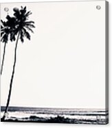 Palm Trees And Beach Silhouette Acrylic Print