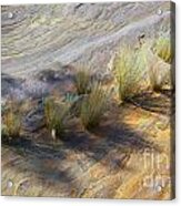 Palm Valley Rock Textures Acrylic Print