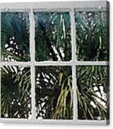 Palm Window Acrylic Print