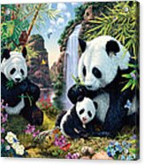 Panda Valley Acrylic Print
