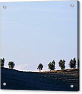 Panoramic Of Ploughed Fields And Acrylic Print