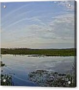 Panoramic Wetlands Acrylic Print