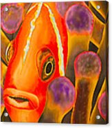 Clownfish Acrylic Print