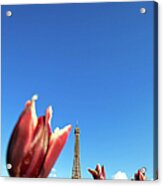 Paris In Spring Acrylic Print