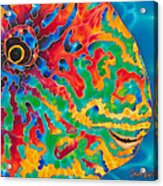 Parrotfish Acrylic Print