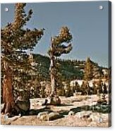 Passing Through Olmsted Pass Acrylic Print