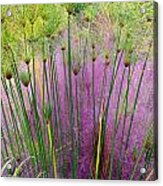 Pastel Grass Acrylic Print