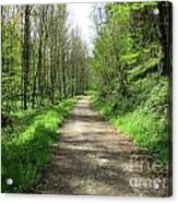 Path In Luxembourg Acrylic Print