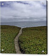 Path To The Pacific Acrylic Print