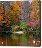 Peaceful Lake Acrylic Print