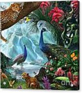 Peacocks And Leopards Acrylic Print