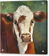 Pearl Iv Cow Painting Acrylic Print