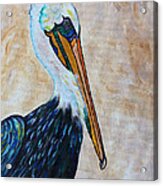 Pelican Pointe Acrylic Print