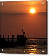 Pelicans In Silhouette In Texas Acrylic Print