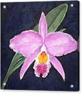 Penny's Orchid Acrylic Print