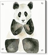 Pensive Panda Acrylic Print