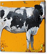 People Like Cows #16 Acrylic Print