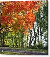 Peoria Riverfront Park In Autumn Two Acrylic Print