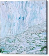 Perito Moreno Glacier In The Los Acrylic Print