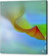 Leaf #1 Acrylic Print