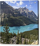 Peyto Lake Banff National Park Acrylic Print