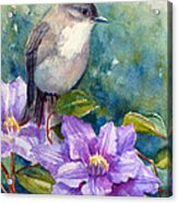 Phoebe And Clematis Acrylic Print